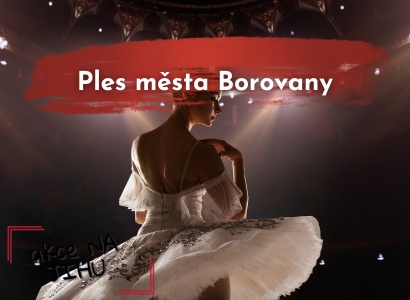 Ples města Borovany